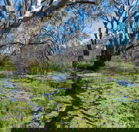 Macquarie Valley Trails - Hotel NSW