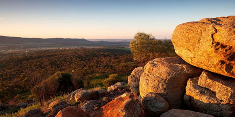 Mount Brown Lookout - Hotel NSW 0