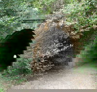 Mushroom Tunnel - Hotel NSW