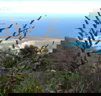 Strzelecki Peaks Great Short Walk - Hotel NSW