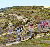 The Sole Walk at Hillocks Drive - Hotel NSW