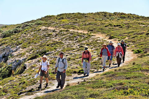 The Sole Walk At Hillocks Drive - Hotel NSW 0