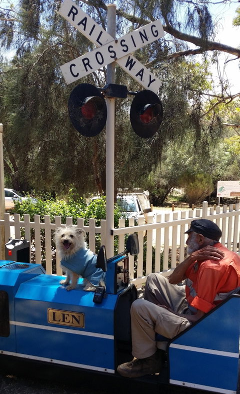 Toodyay Miniature Railway - Hotel NSW 2