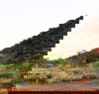 Whyalla Conservation Park - Hotel NSW