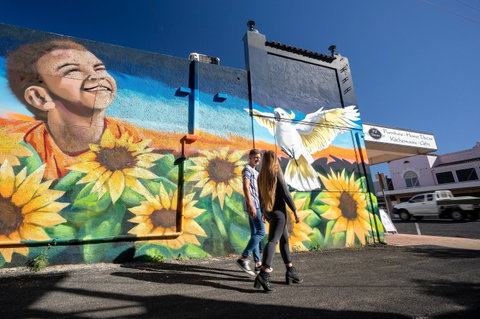 Art Trails In The Moree Plains - Hotel NSW 2