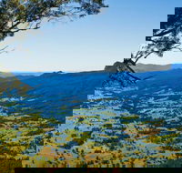 Blackbutt Lookout Picnic Area - Hotel NSW