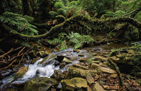 Budderoo National Park - Hotel NSW 0