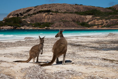 Cape Le Grand National Park - Hotel NSW 0