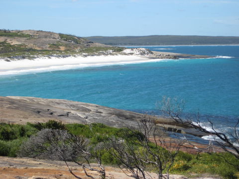 Cape Arid National Park - Hotel NSW 1