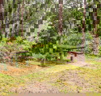 Goodenia Rainforest picnic area - Hotel NSW