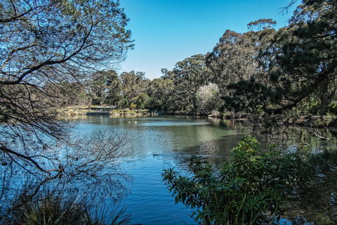 Lake Alexandra Reserve - Hotel NSW 1