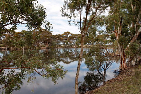 Merredin Railway Dam - Hotel NSW 0