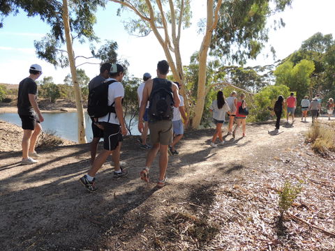 Merredin Railway Dam - Hotel NSW 1