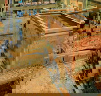 Mountain Maid gold mine - Hotel NSW