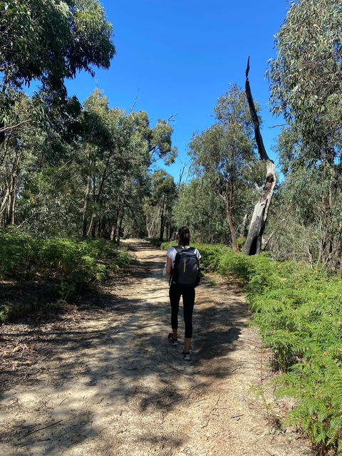 Mt Everard Circuit - Hotel NSW 0