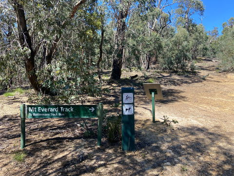Mt Everard Circuit - Hotel NSW 1