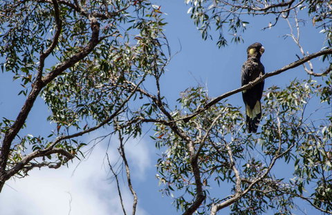 Mummel Gulf National Park - Hotel NSW 0