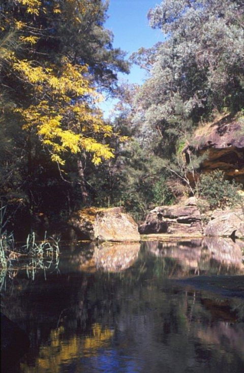Pheasants Nest - Hotel NSW 0
