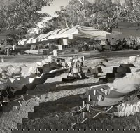 Pioneer Park - Hotel NSW