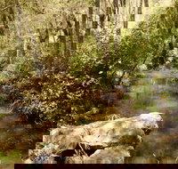 Sandy Creek Track - Hotel NSW