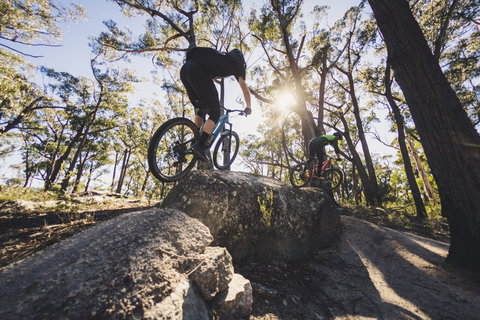 St Helens Mountain Bike Trails - Hotel NSW 1