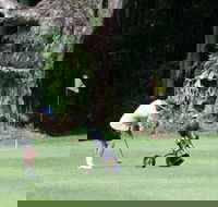 Teven Valley Golf Course - Hotel NSW