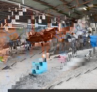 The Equine Club - Hotel NSW