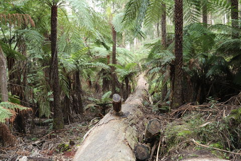 Upper Yarra Reservoir Park - Hotel NSW 0