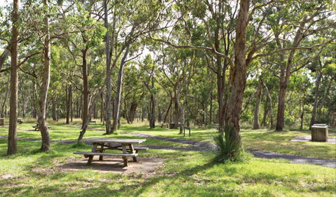 Wollomombi Gorge And Falls Picnic Area - Hotel NSW 0