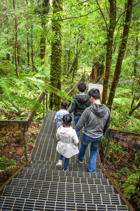 Yarra Ranges National Park - Hotel NSW 0