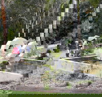 Maroochy Regional Bushland Botanic Garden - Hotel NSW