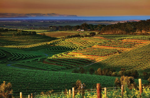 Mclaren Vale - Hotel NSW 1
