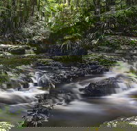 Protesters Falls Walking Track - Hotel NSW