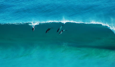 Sand Patch - Hotel NSW 1