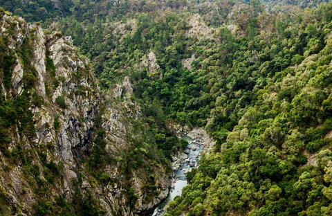 Tiara Walking Track - Hotel NSW 0