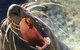 Narooma And Tilba Valley Private Tour - thumb 0