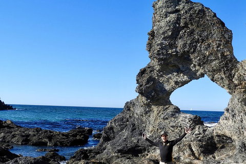 Narooma And Tilba Valley Private Tour - Hotel NSW 4