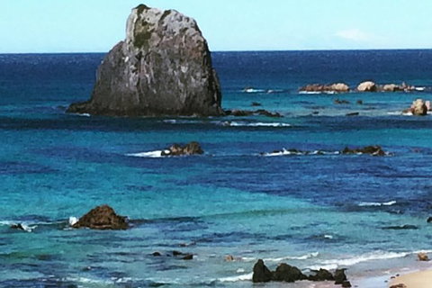 Narooma And Tilba Valley Private Tour - Hotel NSW 9
