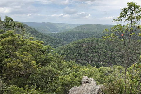 Kayak Camping Adventure To Marramarra Orchard - Hotel NSW 15