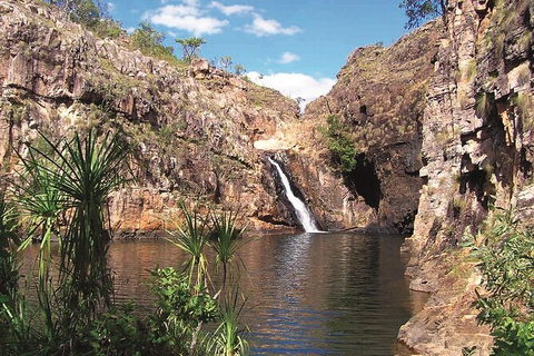 Kakadu, Katherine & Litchfield Adventure - Hotel NSW 1