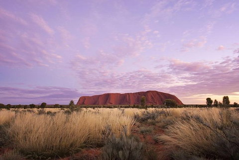 Explore Uluru: 7 Hours Guide Tour At Sunrise With Light Breakfast - Hotel NSW 4