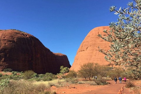 5-Hour Kata Tjuta Sunrise Tour From Ayers Rock With Breakfast - Hotel NSW 2
