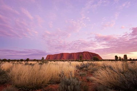 Sunset Australian Barbecue Dinner In Uluru - Hotel NSW 0