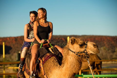 4 Day/3 Night Perentie Dreaming Safari - Hotel NSW 1