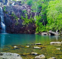 Reef Wildlife  Rainforest - Reef  Beyond Guided Holidays - Hotel NSW