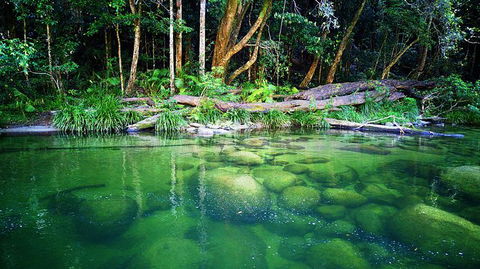 Cairns Adventure Package- 4 Tours In 3 Days! - Hotel NSW 6