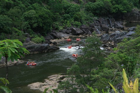Cairns Adventure Package- 4 Tours In 3 Days! - Hotel NSW 3