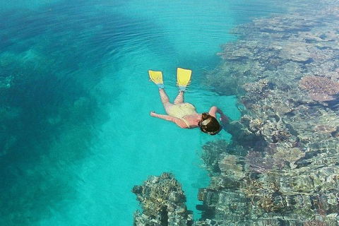 Great Barrier Reef Private Expedition Cruise (min 4 Day Max 8 Guests) - Hotel NSW 6