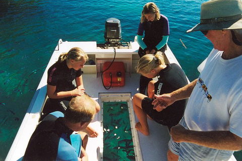 Great Barrier Reef Private Expedition Cruise (min 4 Day Max 8 Guests) - Hotel NSW 1