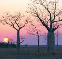 8-Day Outback Experience from Queensland - Hotel NSW